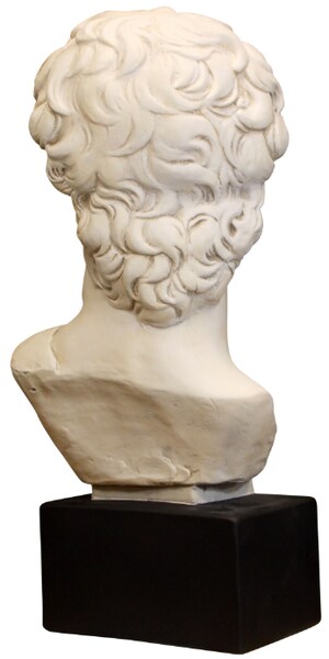 Back view Head Plaster David Bust By Michelangelo Statue Sculpture